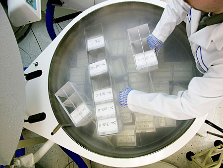 關(guān)于亮麗龍 關(guān)于亮麗龍