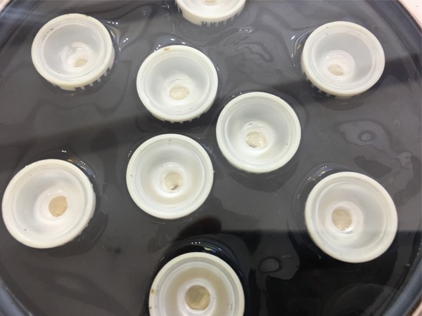 led地埋燈-芯片 led地埋燈-芯片